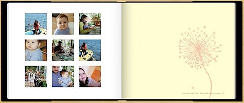 Picture 14